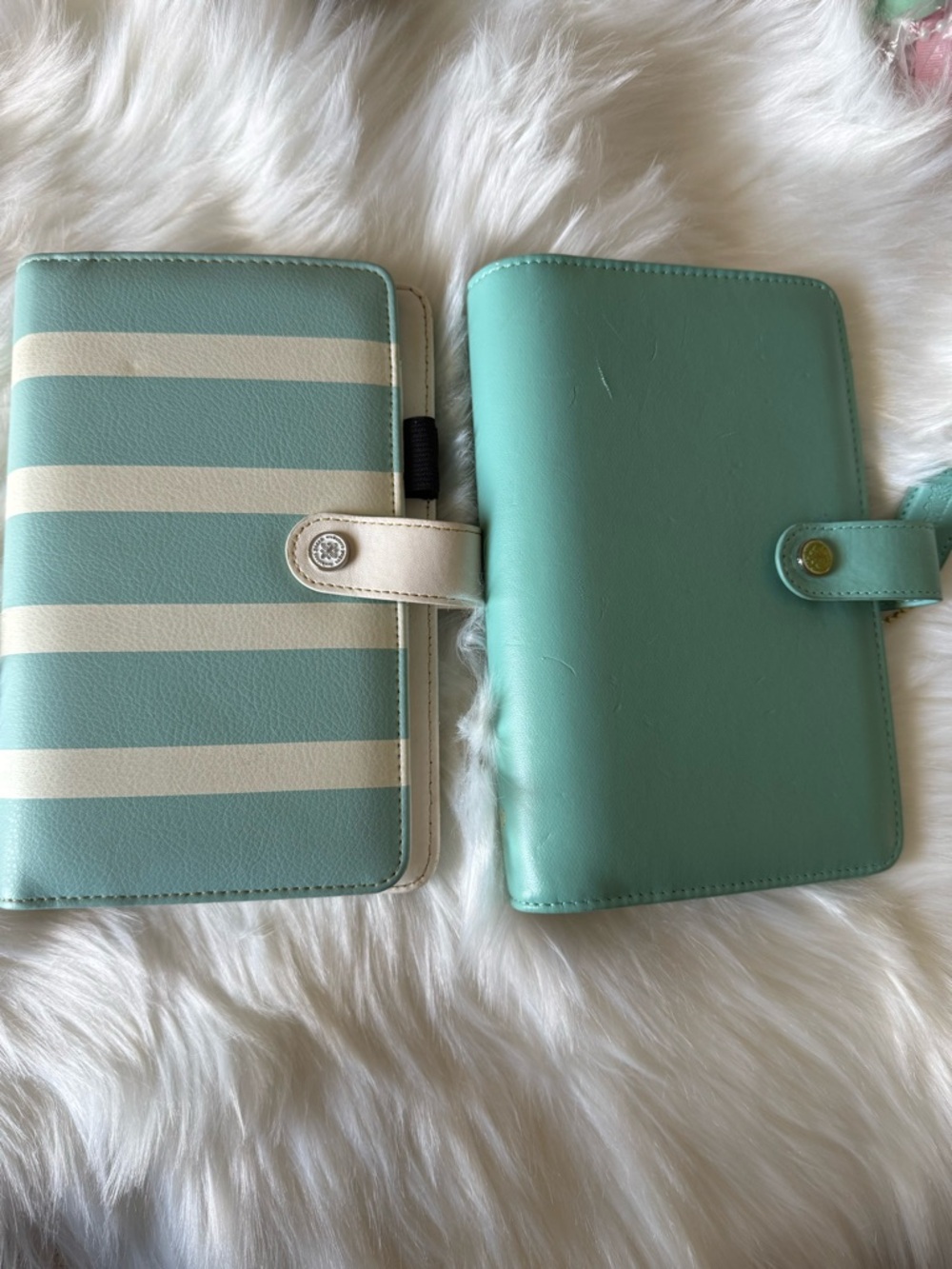 Webster’s Pages Personal Sized Planners